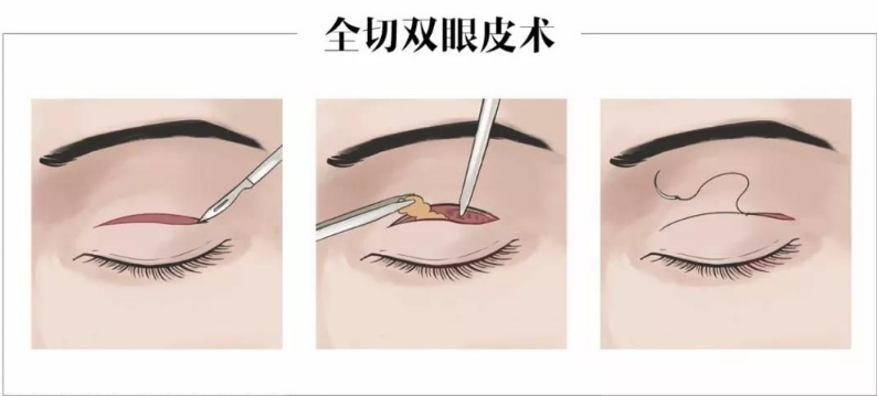 QQ瀏覽器截圖20210908174407.png QQ瀏覽器截圖20210908174407.png