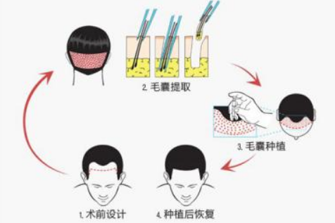 QQ瀏覽器截圖20210909105806.png QQ瀏覽器截圖20210909105806.png