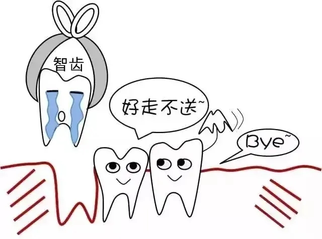 src=http%3A%2F%2Fpic1.zhimg.com%2Fv2-6ce5a16a52f144d1602868759968eedf_1440w.jpg%3Fsource%3D172ae18b&