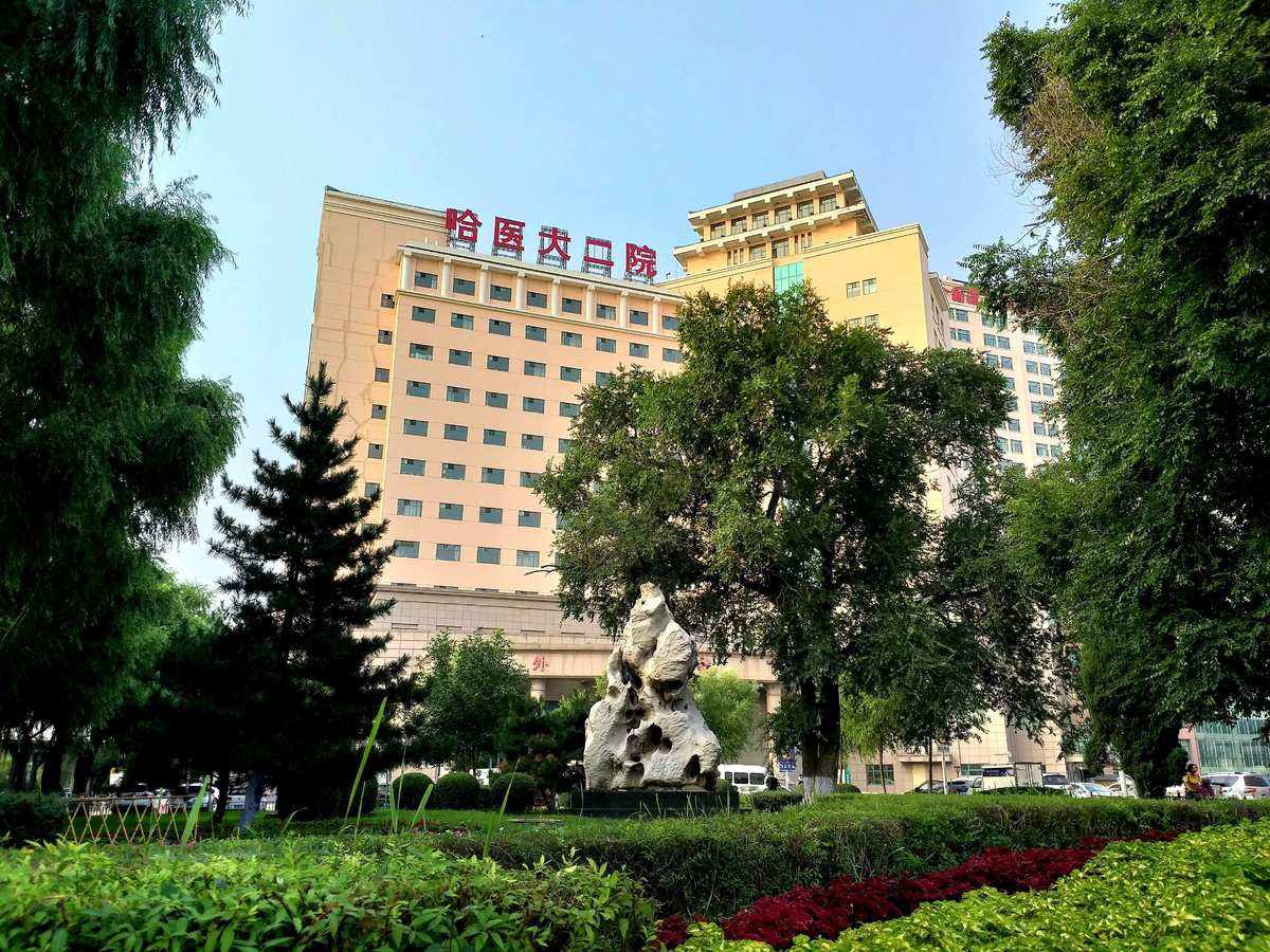 a1db0c727b5828a851e552e23a14bc31.jpeg a1db0c727b5828a851e552e23a14bc31.jpeg