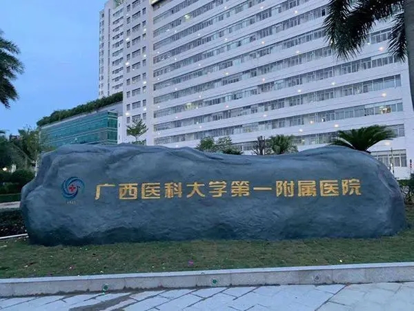 u=1058883843,3316733967&fm=253&fmt=auto&app=138&f=JPEG.webp.jpg u=1058883843,3316733967&fm=253&fmt=auto&app=138&f=JPEG.webp.jpg