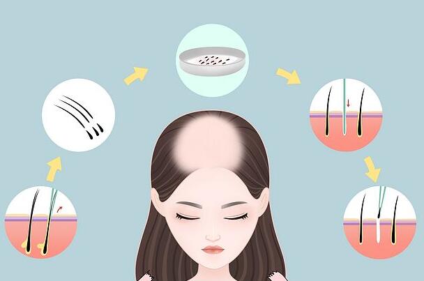 QQ截圖20230407161526.jpg QQ截圖20230407161526.jpg