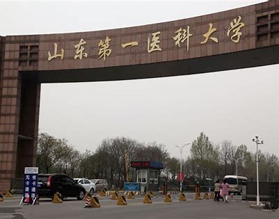 OIP-C (3).jpg OIP-C (3).jpg